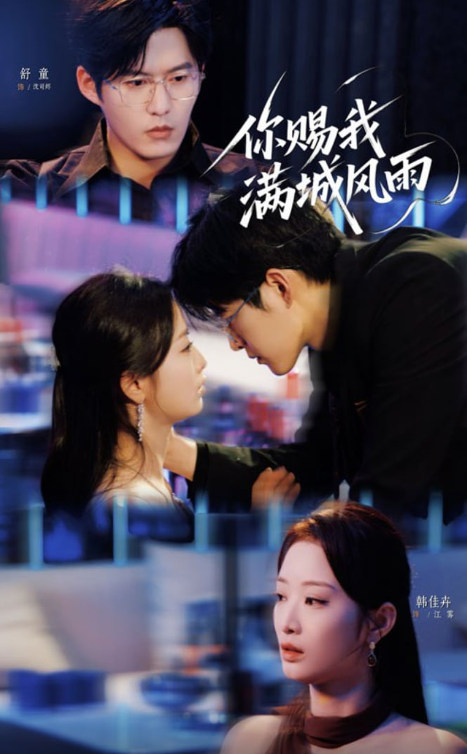 你赐我满城风雨封面图