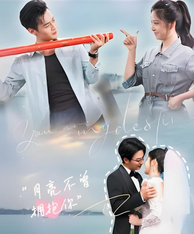 月亮不曾拥抱你封面图