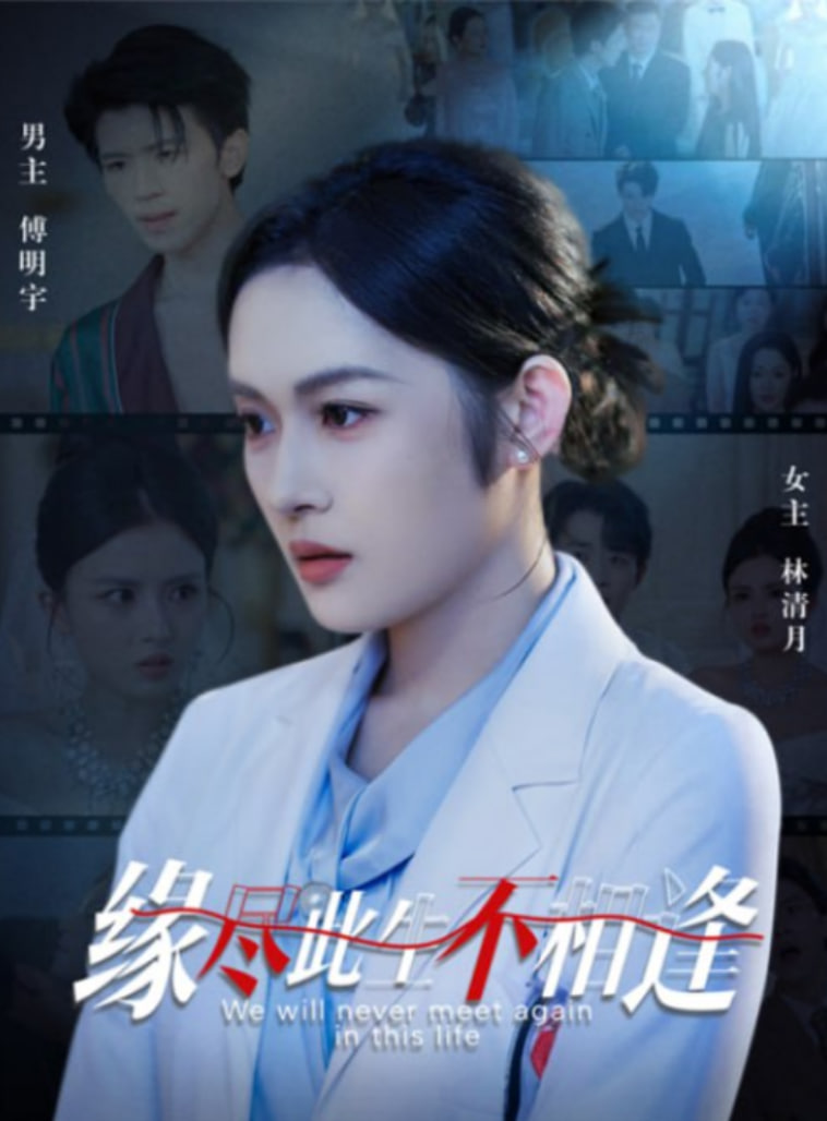 缘尽此生不相逢封面图