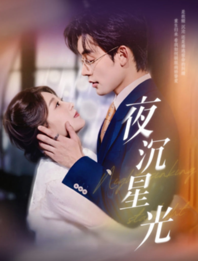 夜沉星光封面图