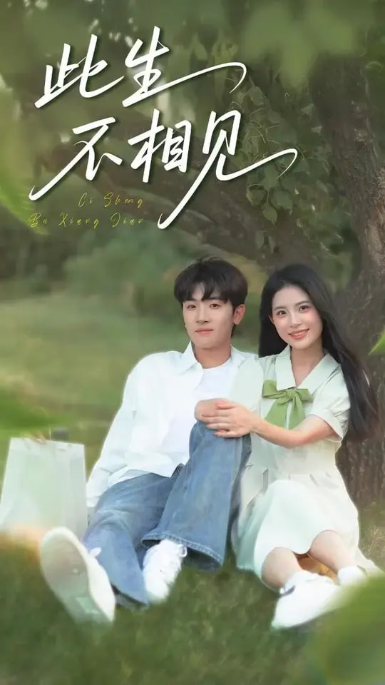 此生不相见封面图