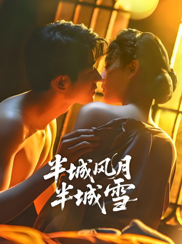 半城风月半城雪封面图