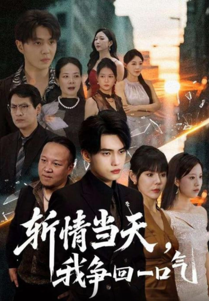 斩情当天我争回一口气封面图