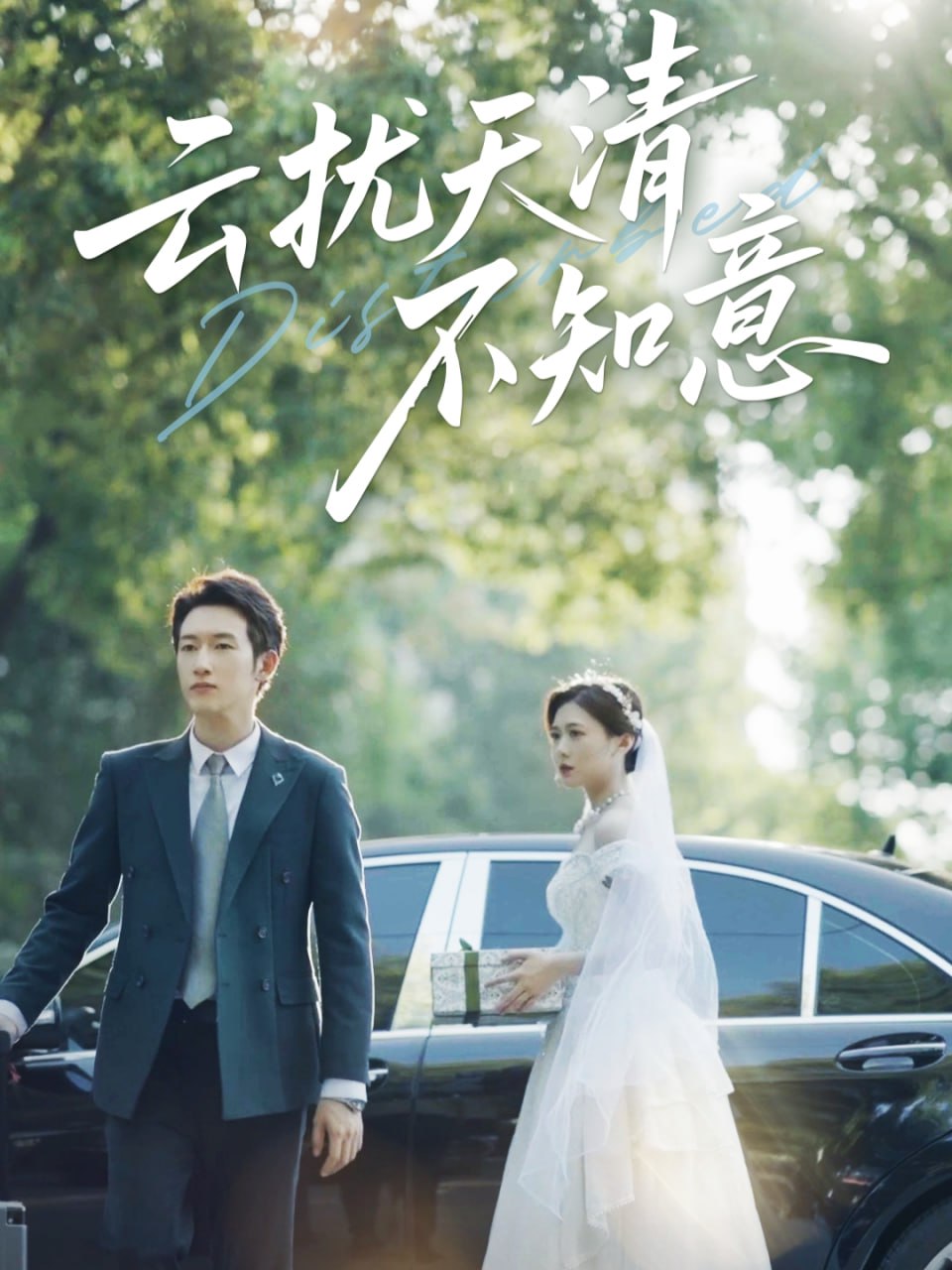 云扰天清不知意封面图