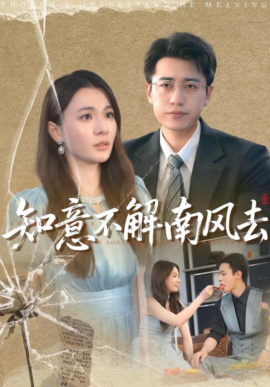 知意不解南风去封面图