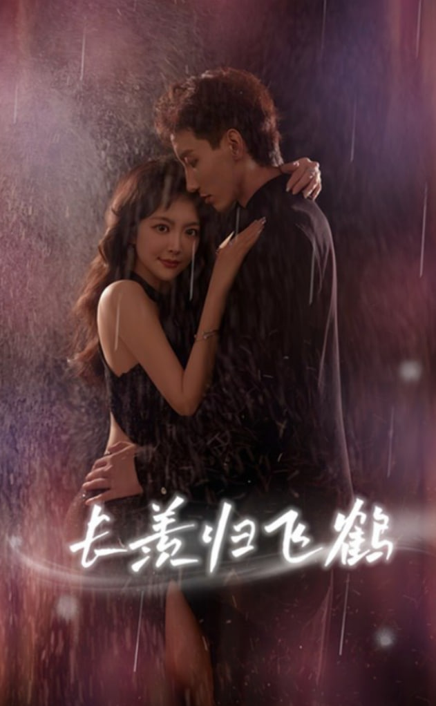 长羡归飞鹤封面图