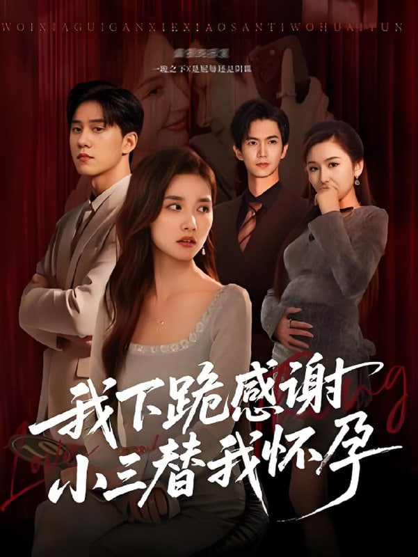 我下跪感谢小三替我怀孕（桃花散落君不在）封面图