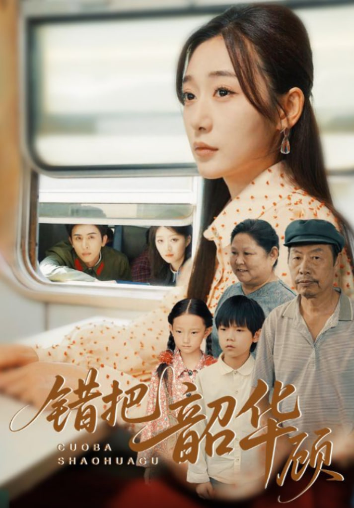 错把韶华顾封面图