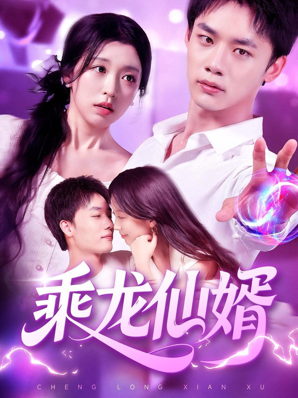 乘龙仙婿封面图