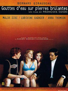 干柴烈火封面图