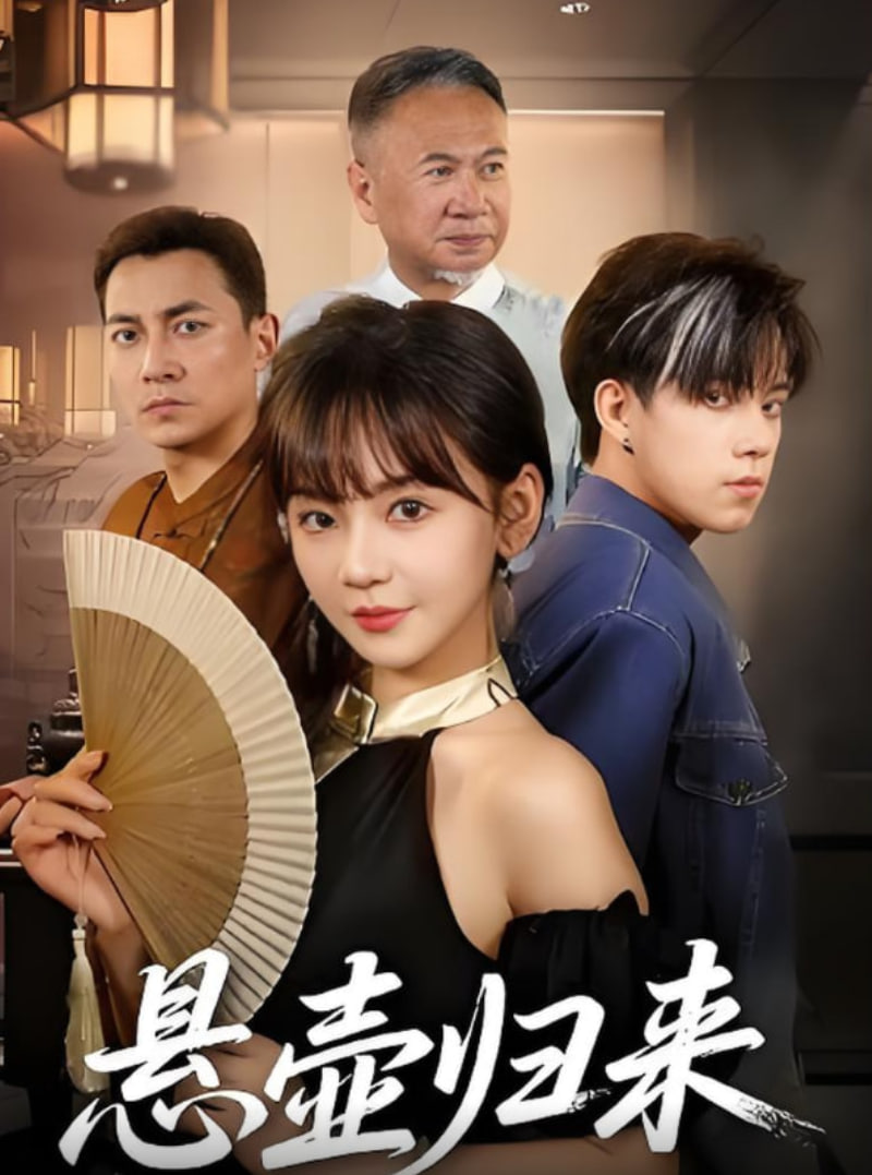 悬壶归来封面图