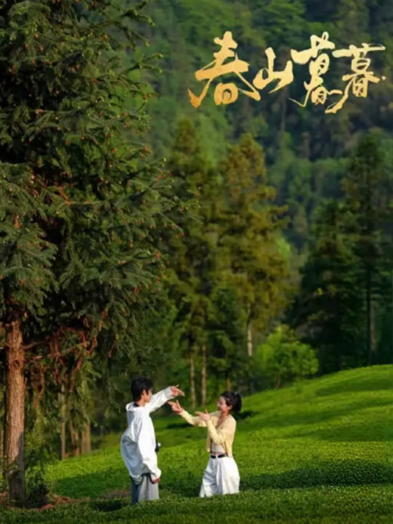 春山暮暮封面图