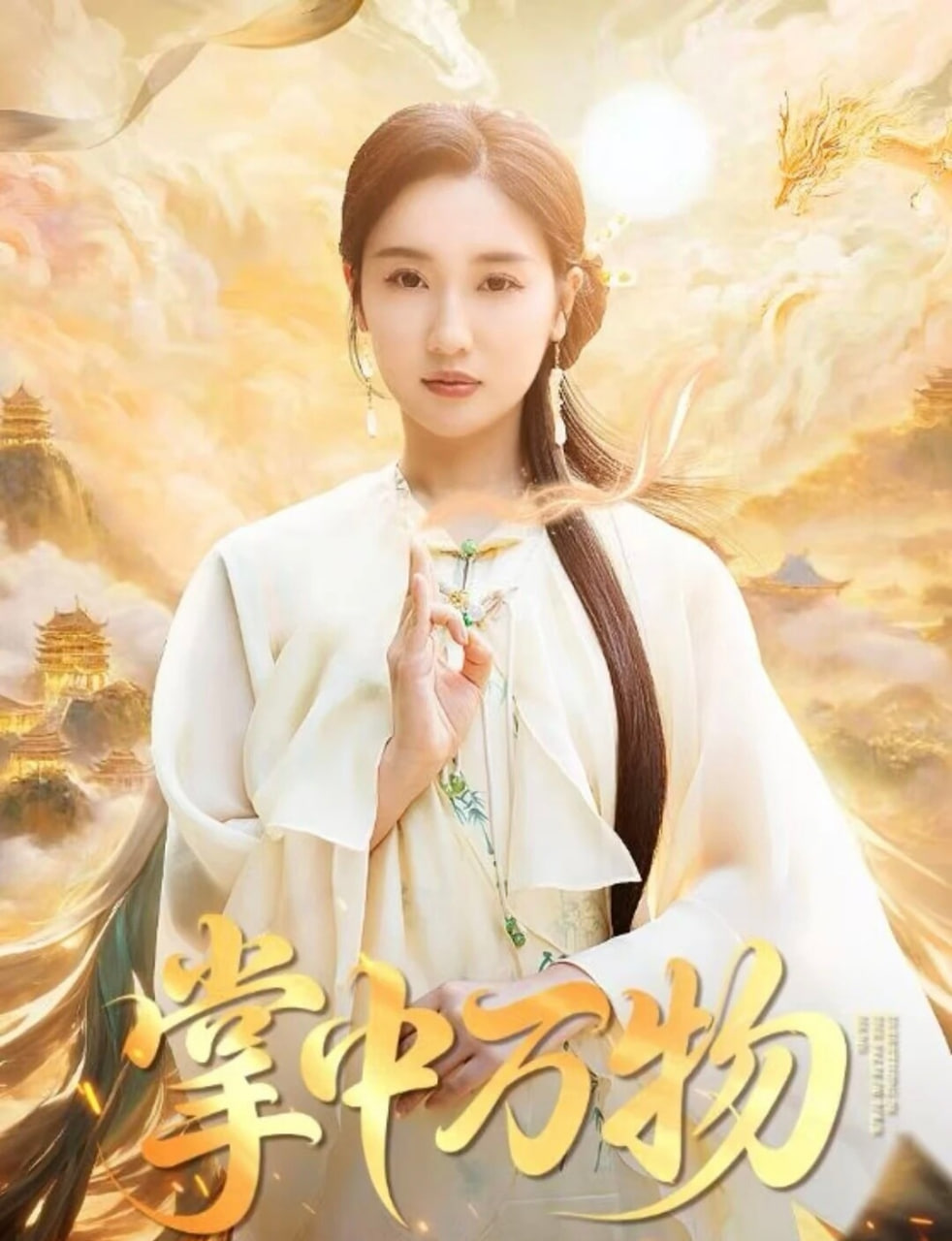 掌中万物封面图