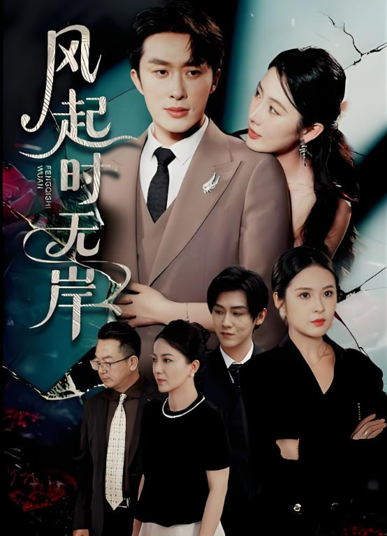 风起时无岸封面图