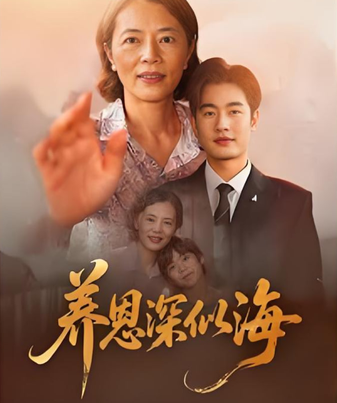 养恩深似海封面图