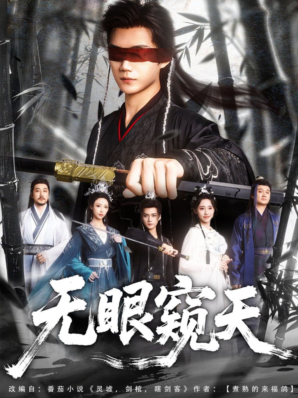 无眼窥天封面图