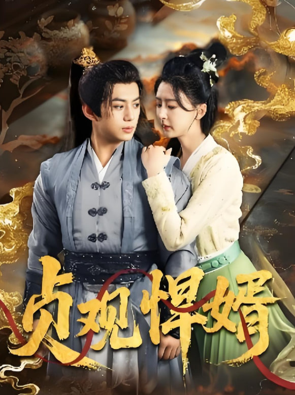 贞观悍婿封面图