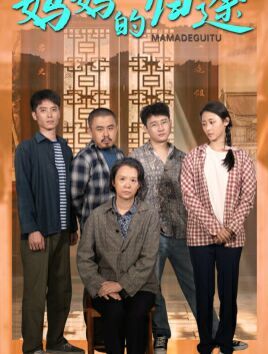 妈妈的归途（归来之金凤成龙）封面图