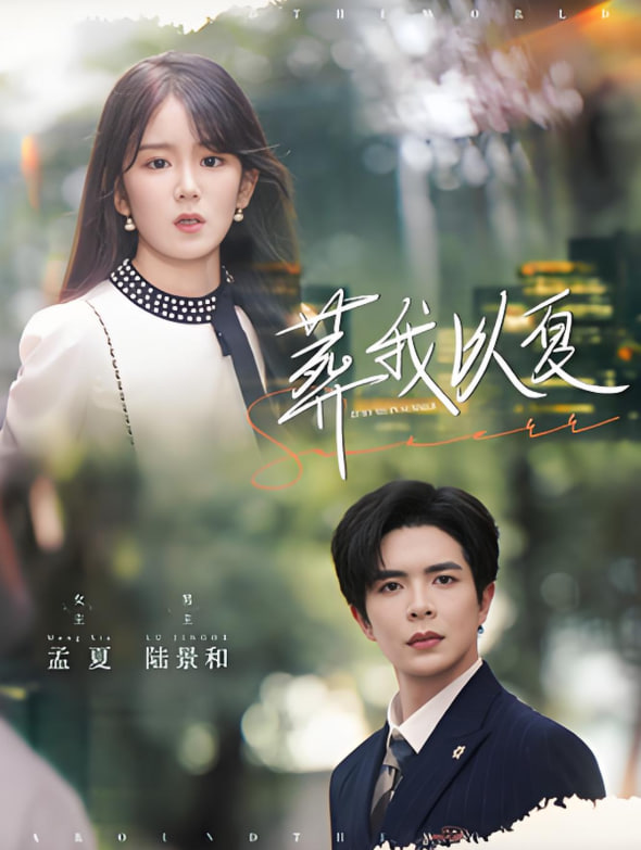 葬我以夏封面图