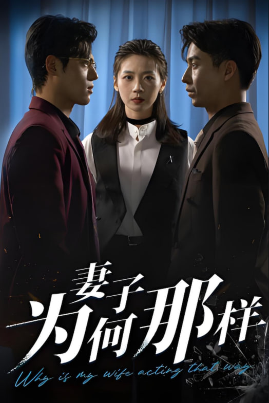 妻子为何那样封面图