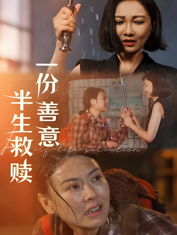 一份善意半生救赎封面图