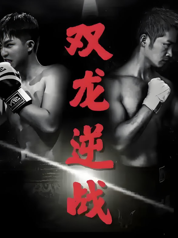 双龙逆战（拳王之父子双龙）封面图