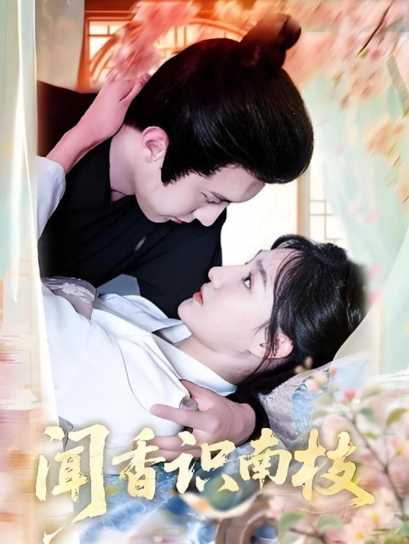 闻香识南枝封面图