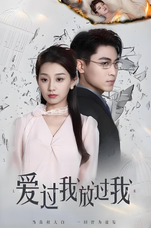 爱过我放过我封面图