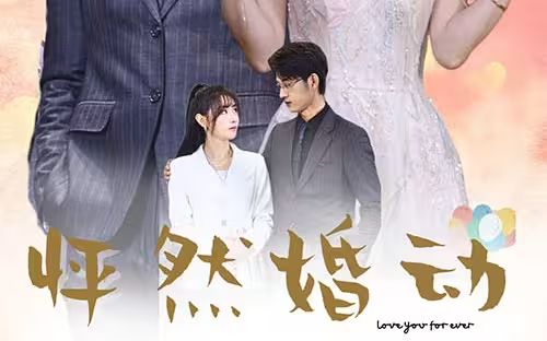 怦然婚动封面图