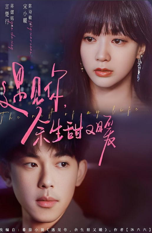 遇见你余生甜又暖封面图
