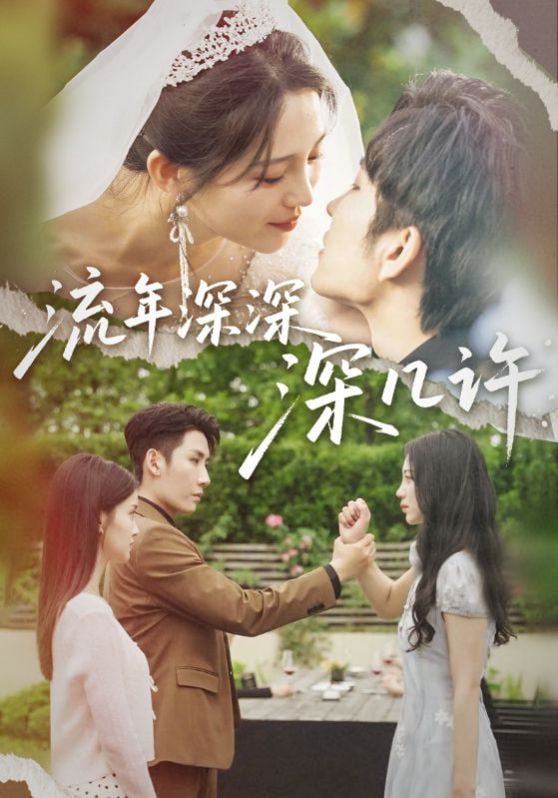流年深深深几许封面图