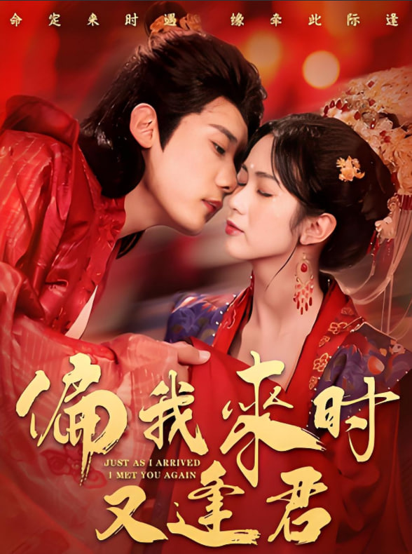 偏我来时又逢君封面图