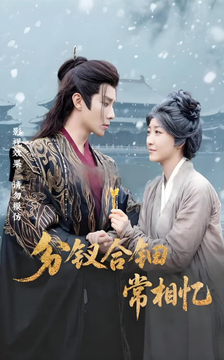 分钗合钿常相忆封面图