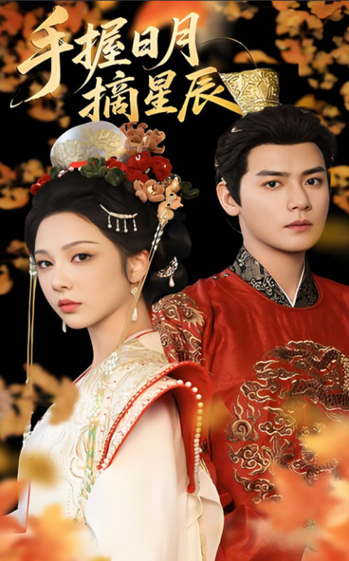 手握日月摘星辰封面图