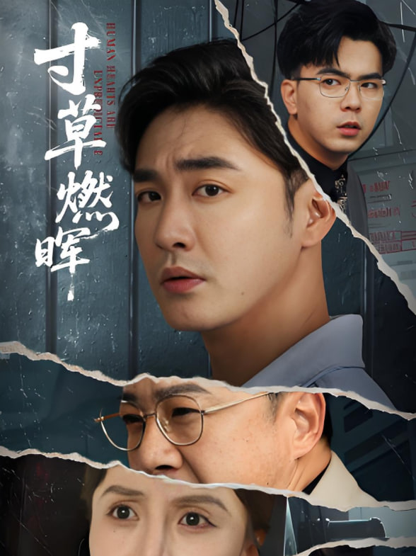 寸草燃晖封面图