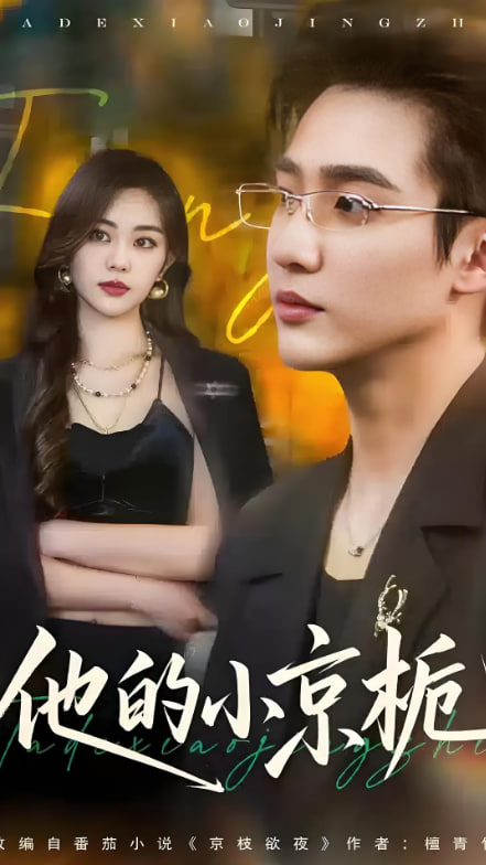 他的小京栀封面图
