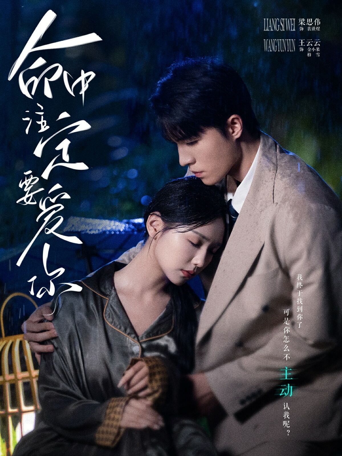 命中注定要爱你封面图