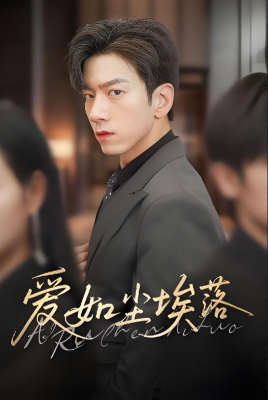 爱如尘埃落封面图