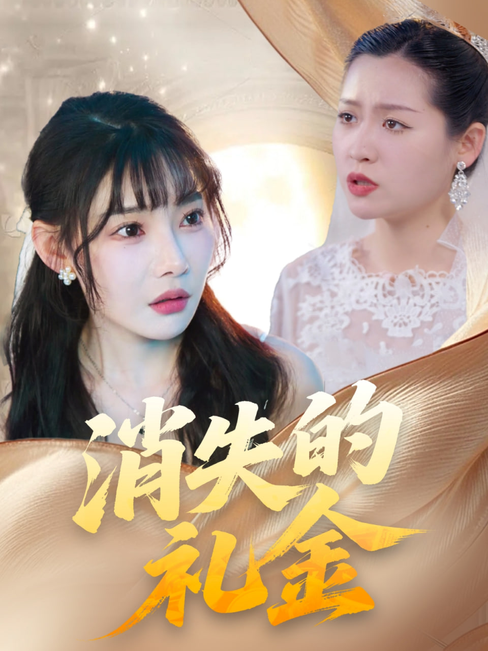 消失的礼金封面图