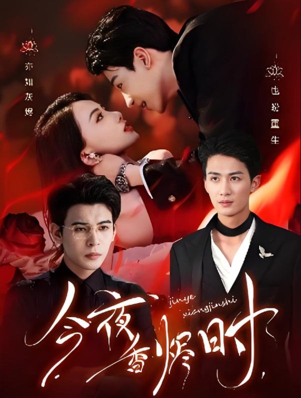 今夜香烬时封面图