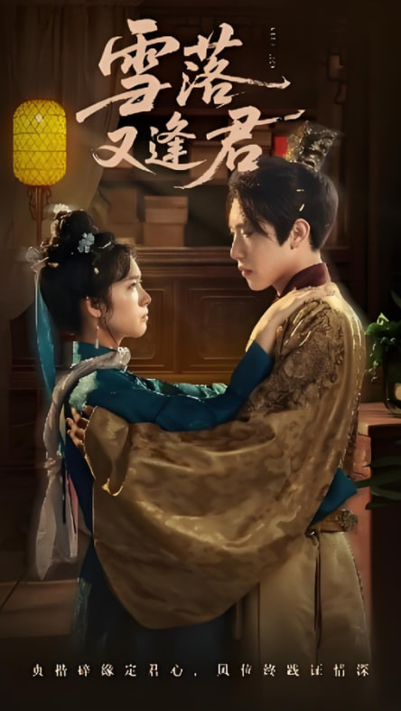 雪落又逢君封面图