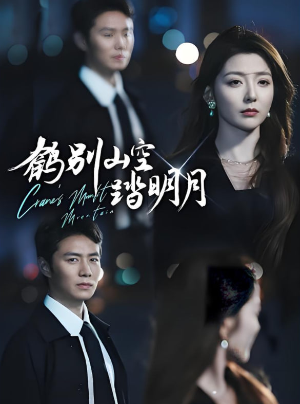 鹤别山空踏明月封面图