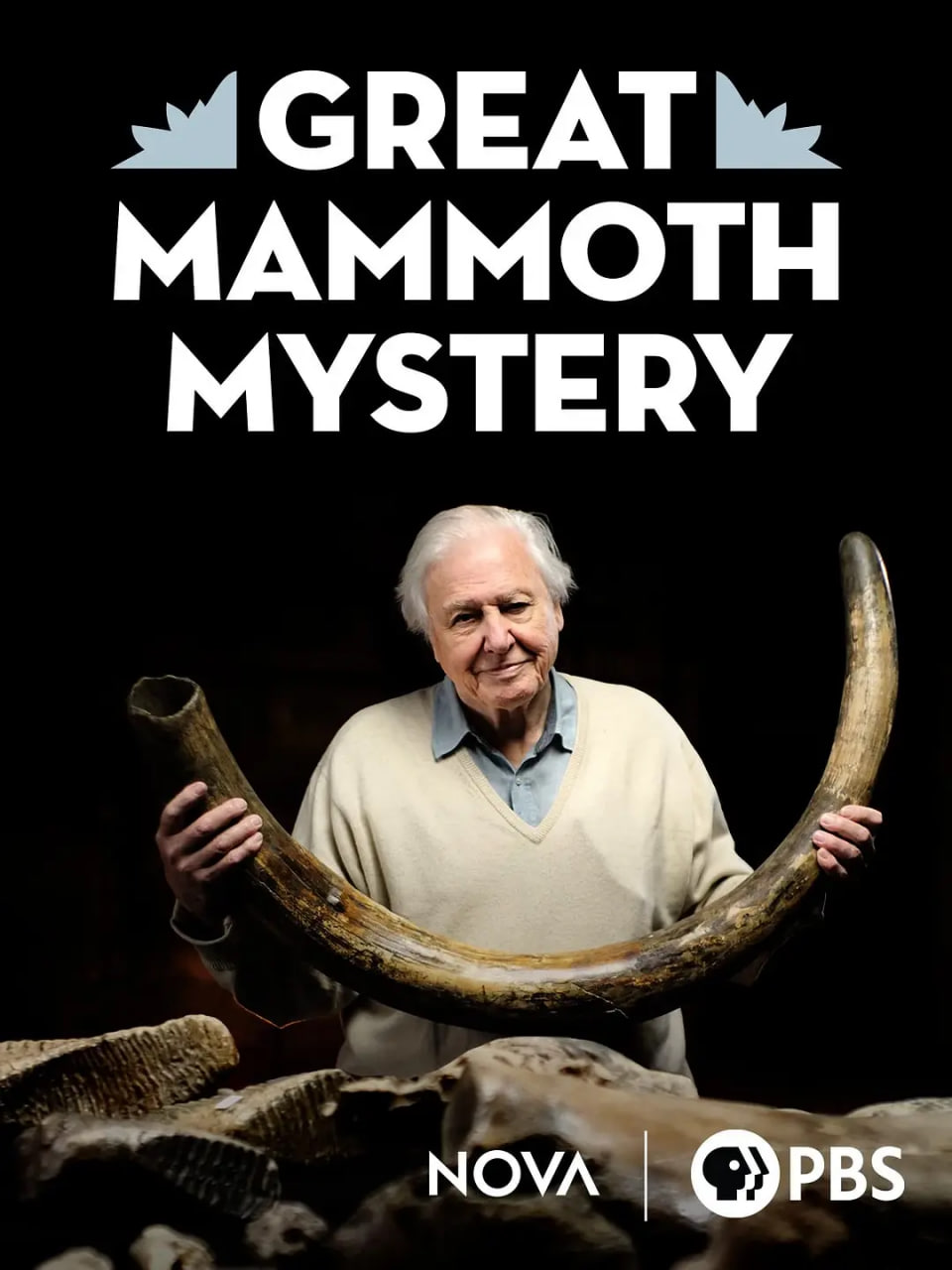 爱登堡与猛犸墓地封面图