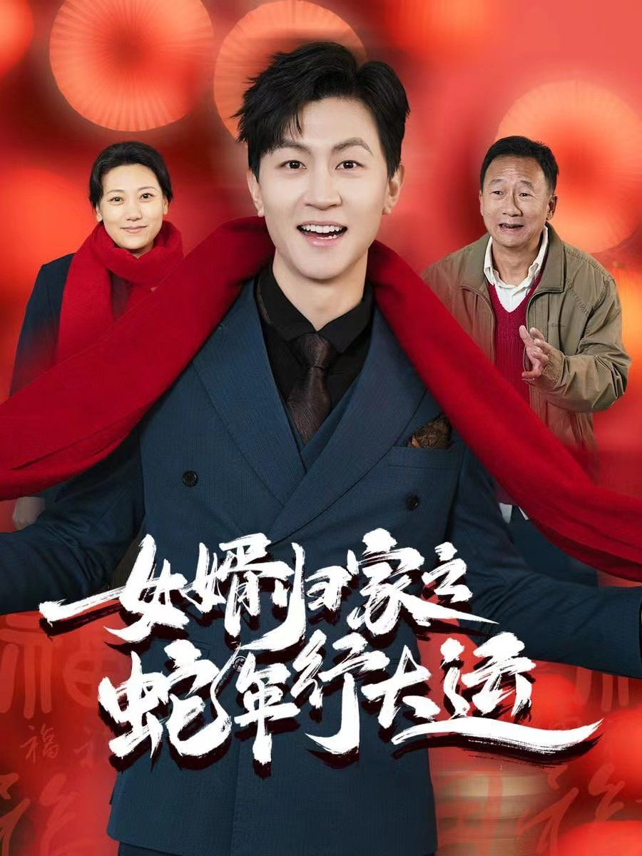 女婿归家之蛇年行大运封面图