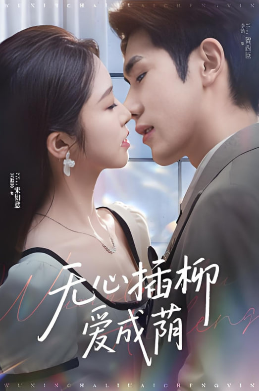 无心插柳爱成荫封面图