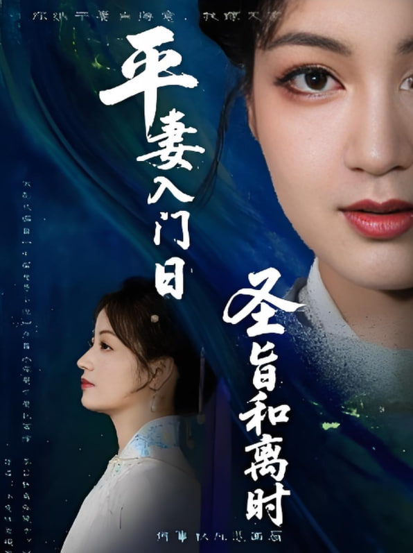 平妻入门日圣旨和离时封面图