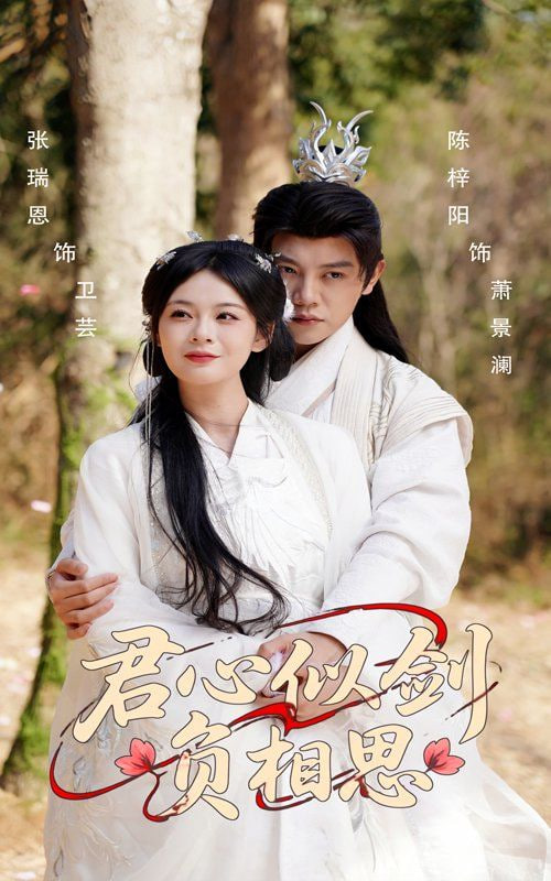 君心似剑负相思封面图