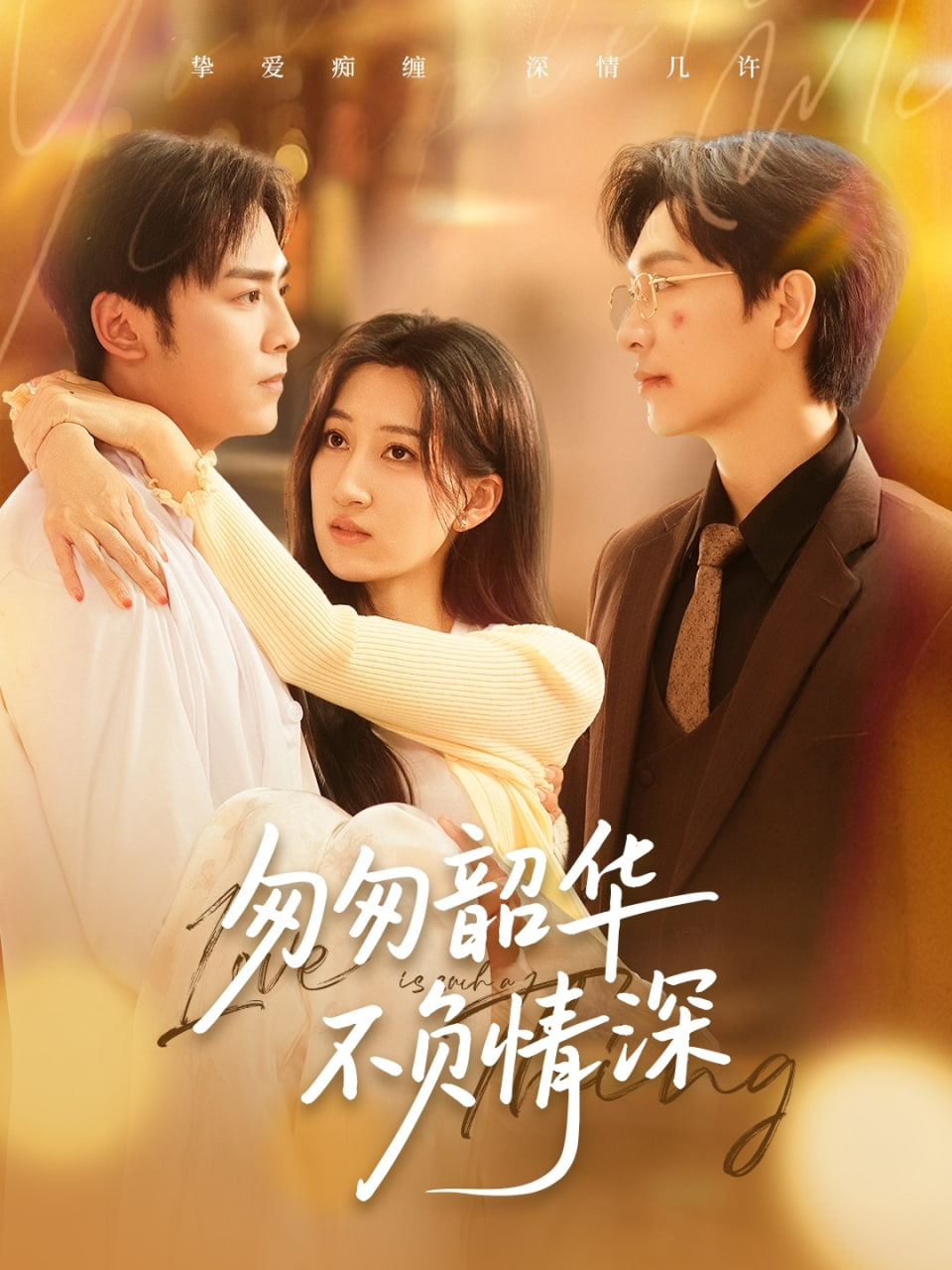 匆匆韶华不负情深封面图