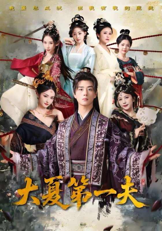 大夏第一夫封面图