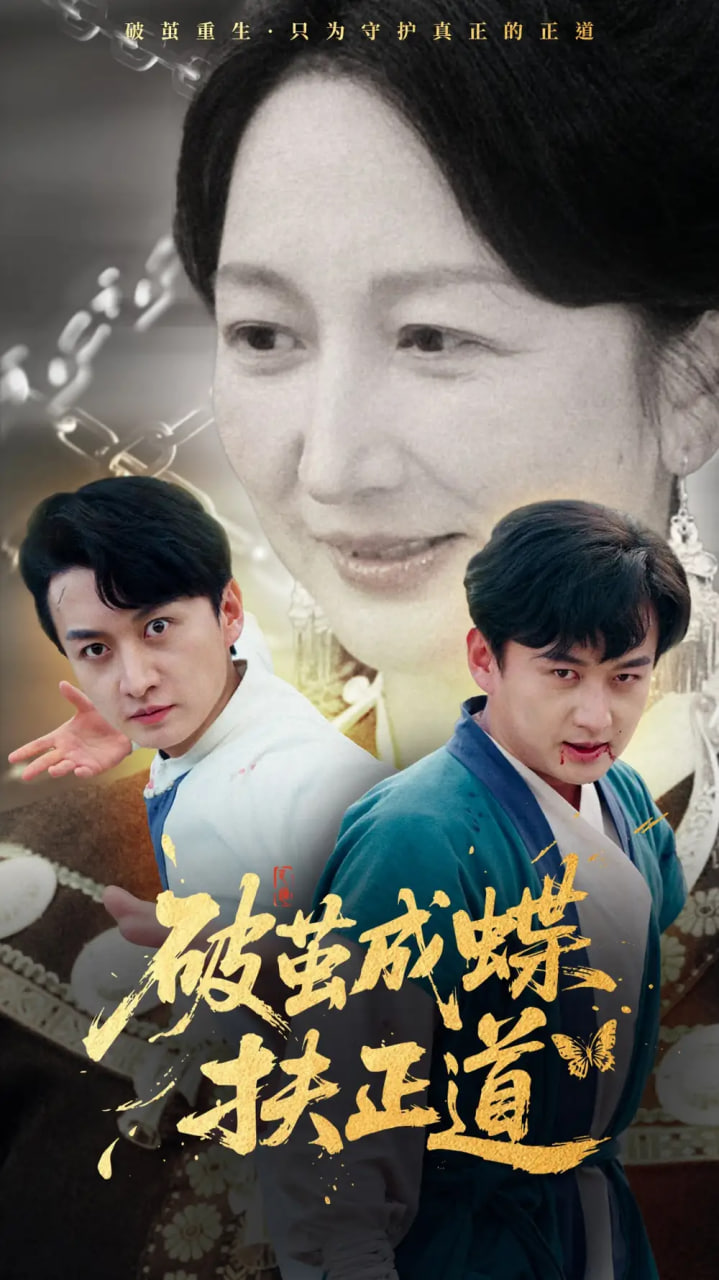 破茧成蝶扶正道封面图